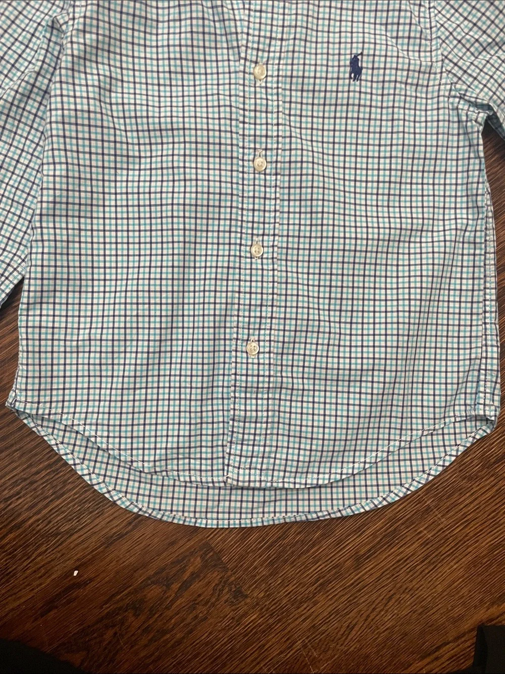 Polo by Ralph Lauren Green and Blue Check Button-Down Shirt